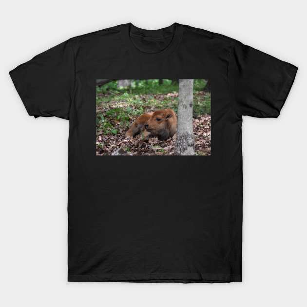 Bison Calf T-Shirt by MarieDarcy